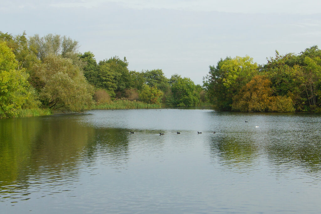 Zevenhuizerplas nr 13