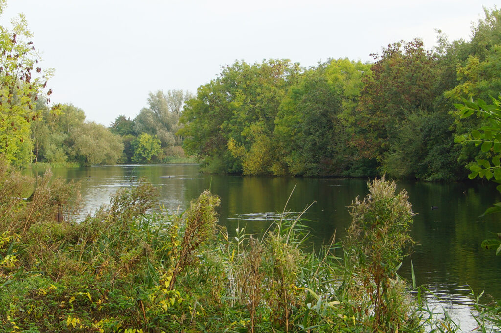 Zevenhuizerplas nr 11