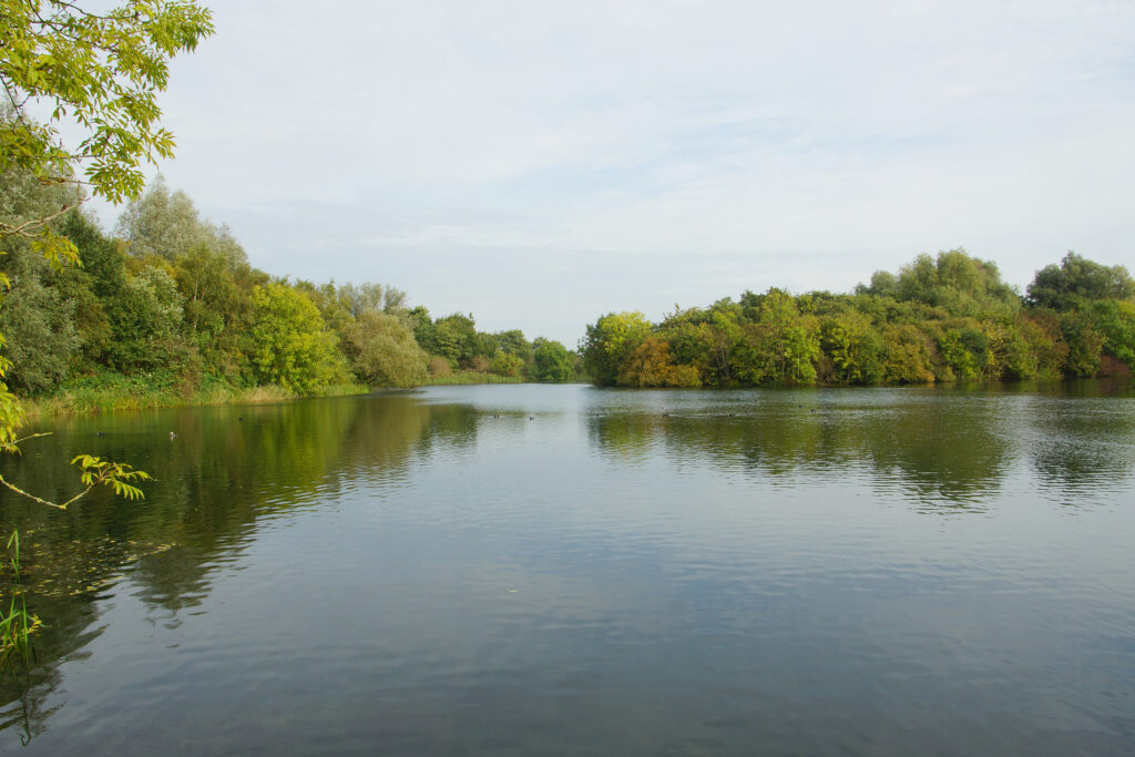 Zevenhuizerplas nr 8