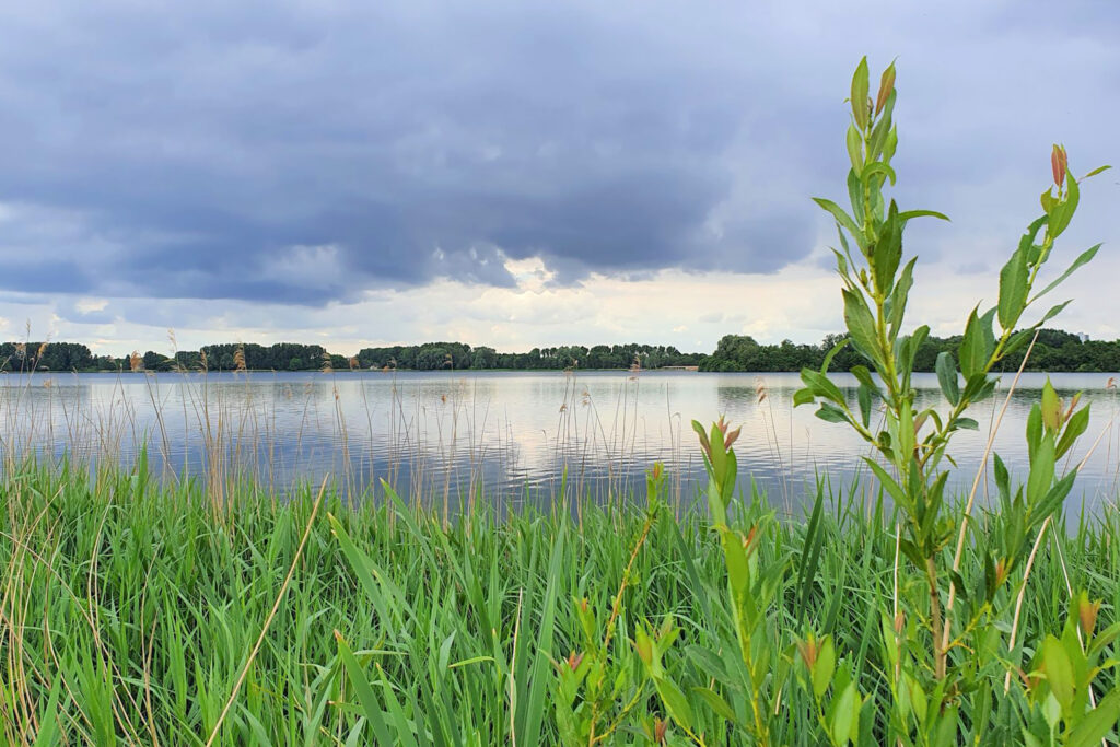 Zevenhuizerplas nr 4