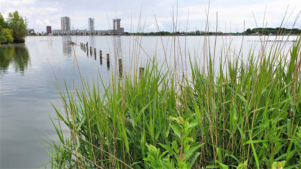 Zevenhuizerplas nr 2