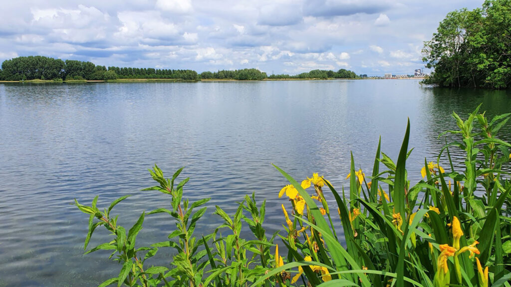 Zevenhuizerplas nr 1