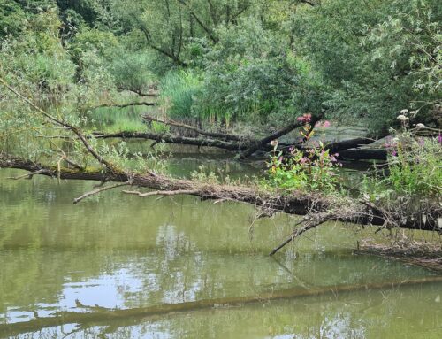 Excursie Carnisse Grienden en Klein Profijt