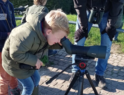 Rotta-Rangers gaan trekvogels kijken!