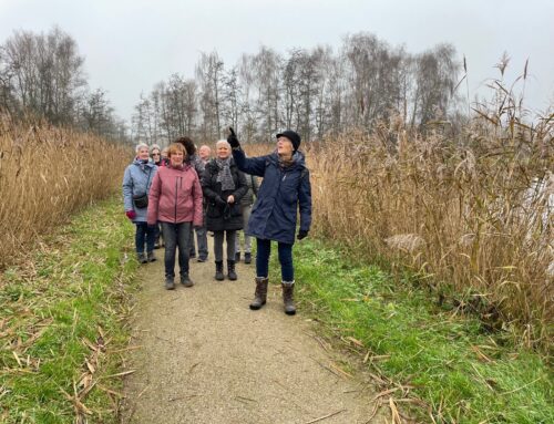 Met Rotta ook in de winter naar buiten