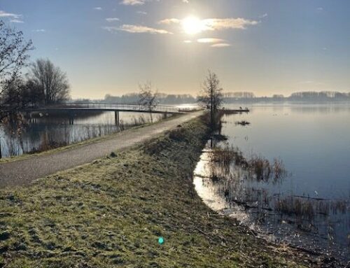 Rotta publiekswandeling Zevenhuizerplas en Eendragtspolder