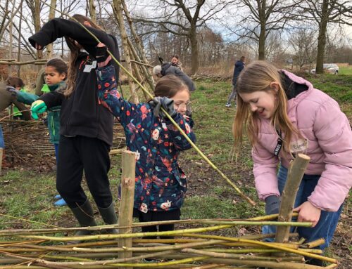 zaterdag 1 maart: Rangers helpen mee met natuurwerk!