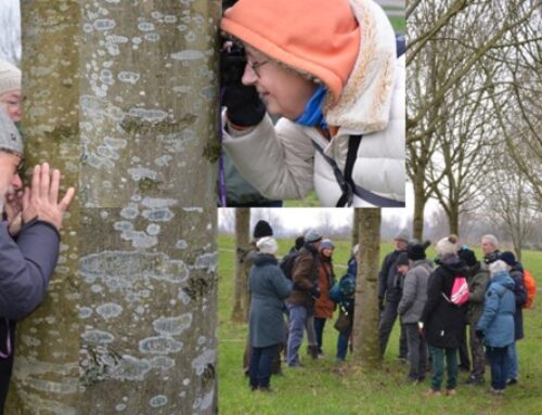 Expeditie Rotta -Wintergasten op en rond de Zevenhuizerplas 8 februari 2025