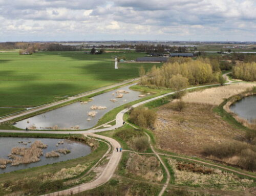 BioBlitz excursies Eendragtspolder (vogels) en Hoge Bergse Bos (flora/fauna)