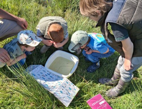 Jeugdochtend: expeditie slootjesleven