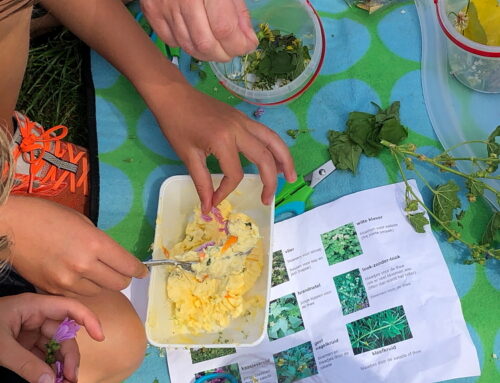 Op zaterdag 21 juni gaat de jeugd op zoek naar eten uit de natuur!