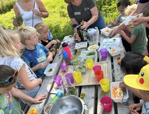 De Rotta jeugd eet uit de natuur!