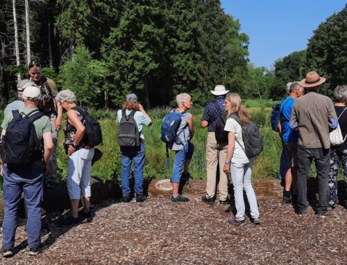 Verslag Expeditie Rotta naar het Kralingse Bos – 14 juni 2025