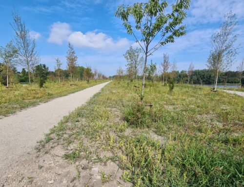 Expeditie Rotta op een tunneldak