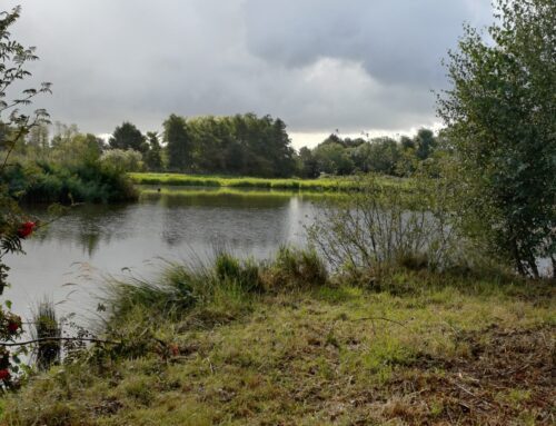 Even voorstellen… het fluisterteam