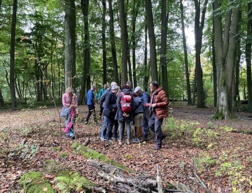 Paddenstoelen Expeditie Rotta 11 oktober 2025