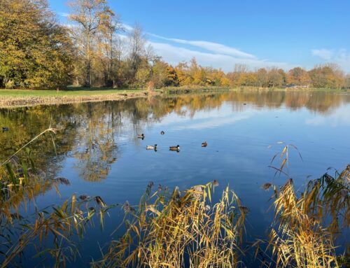 Expeditie Rotta Bleiswijkse Zoom 8 november 2025