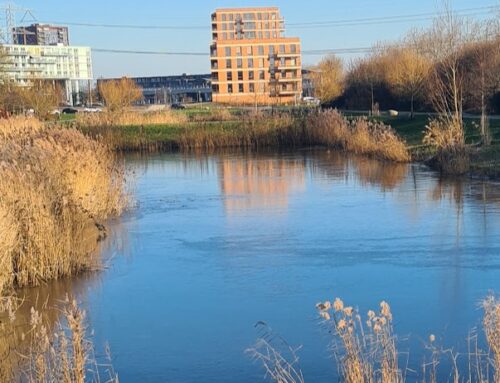 Expeditie Rotta op Eindejaars Plantenjacht 2025