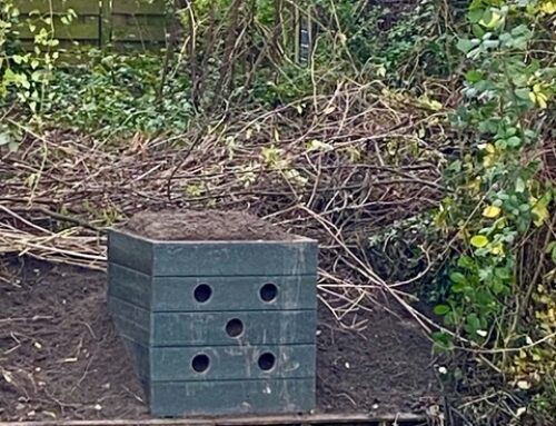 IJsvogelwand voor Offenbachplantsoen