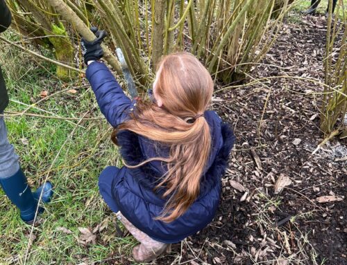 Rotta Jeugd helpt de natuur een handje mee!