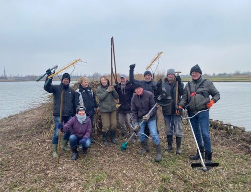 Eiland klaar…Vogels broeden maar!