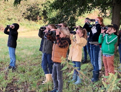 11 april: Jeugd en vroege vogels!